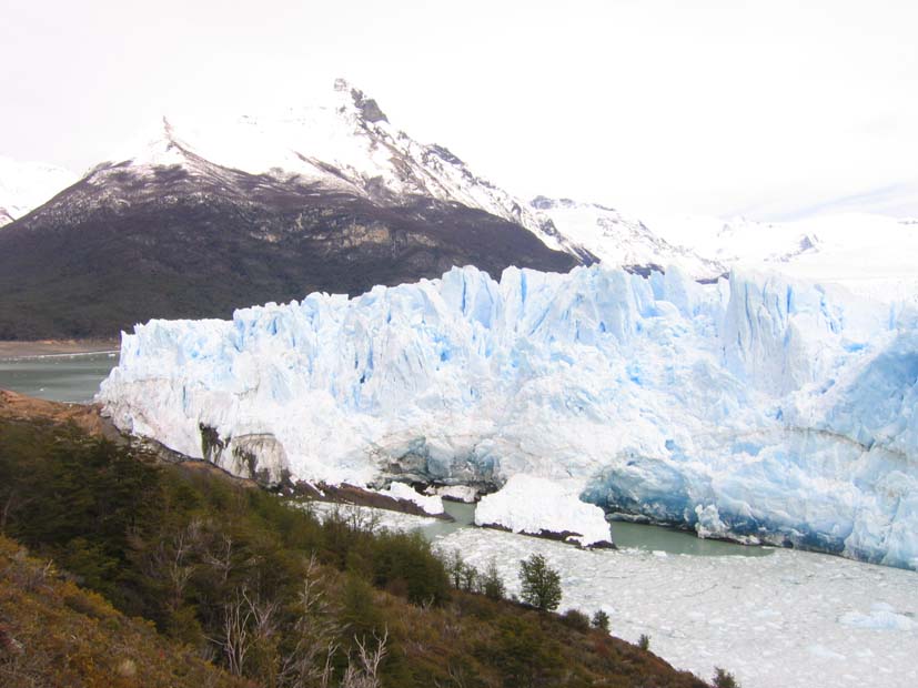 Foto de EL CALAFATE, Argentina
