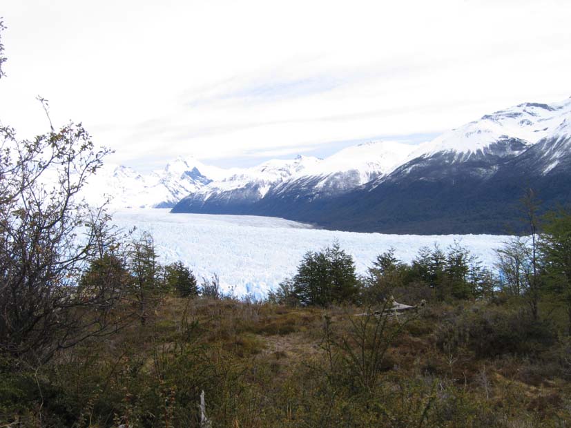 Foto de EL CALAFATE, Argentina