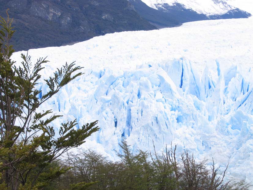Foto de EL CALAFATE, Argentina