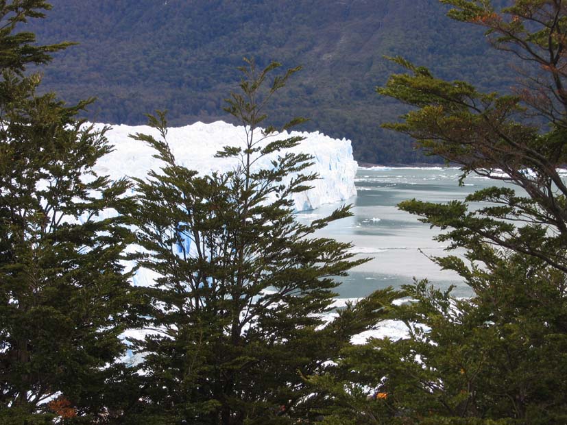 Foto de EL CALAFATE, Argentina