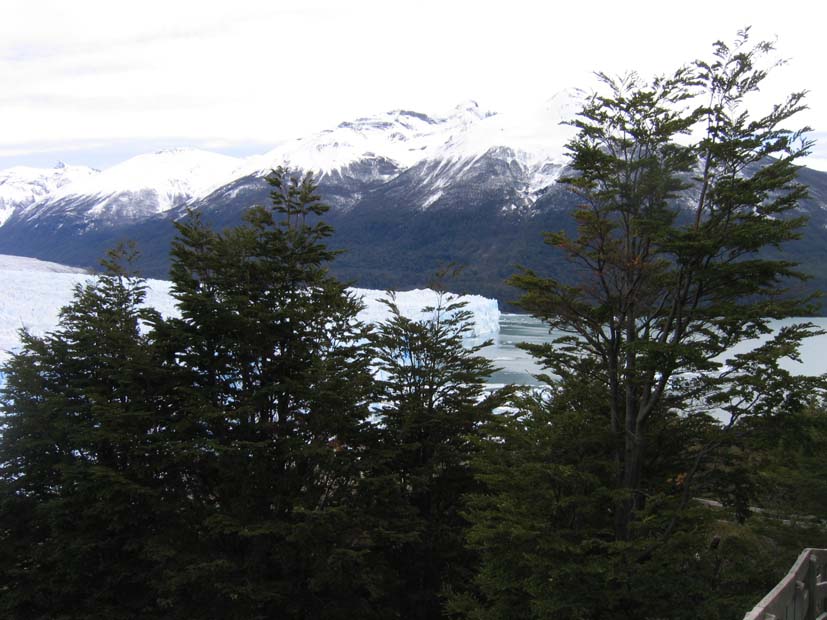 Foto de EL CALAFATE, Argentina