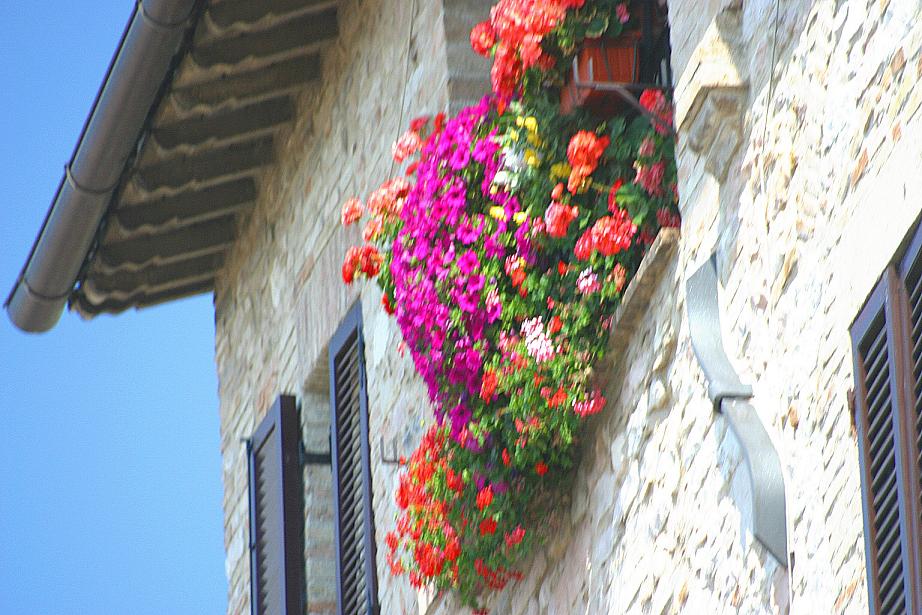 Foto de Asís, Italia