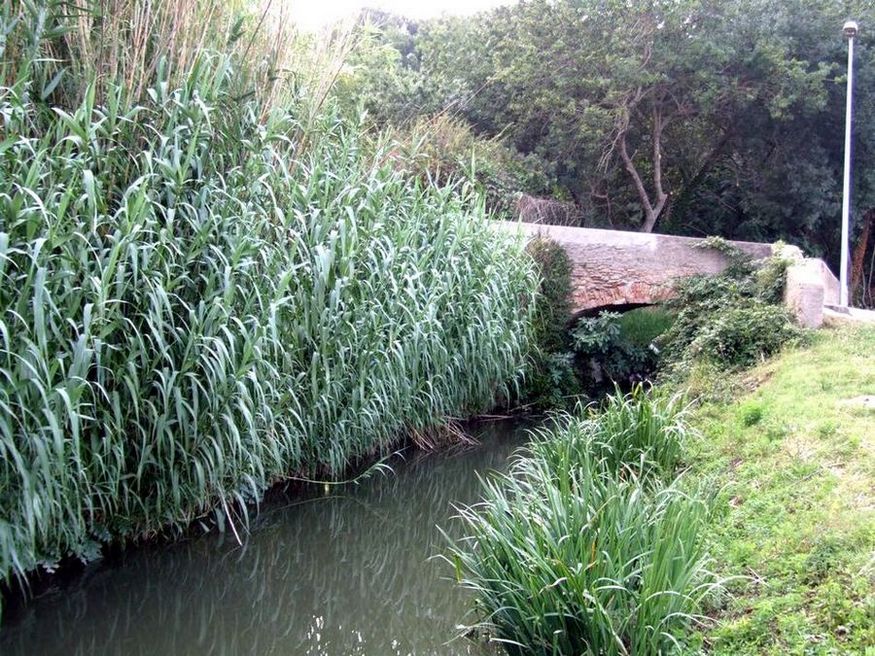 Foto de Castello de Empuries (Girona), España