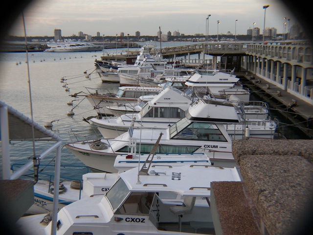 Foto de PUNTA DEL ESTE, Uruguay