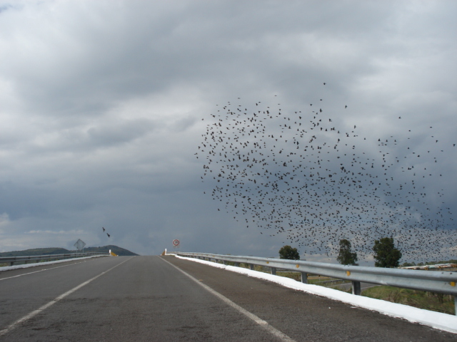 Foto de ARANDAS, JALISCO MEXICO, México