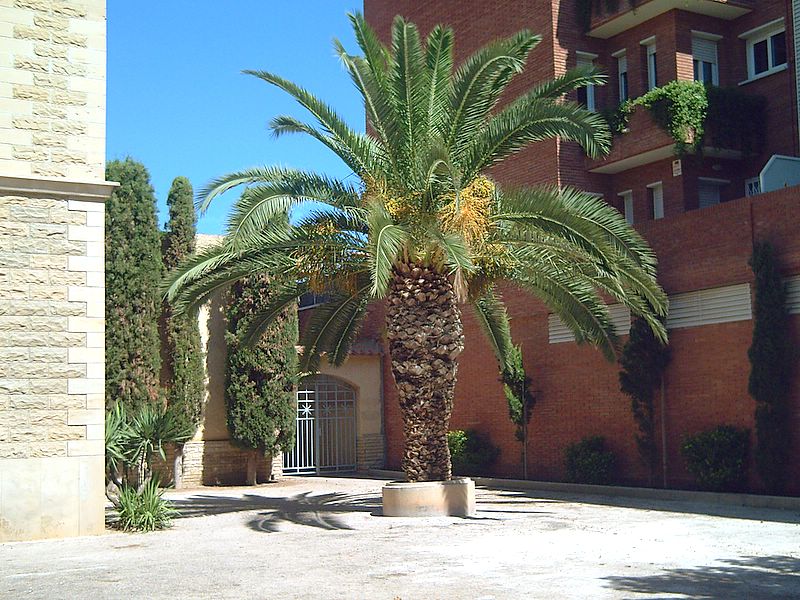 Foto de Calafell (Tarragona), España