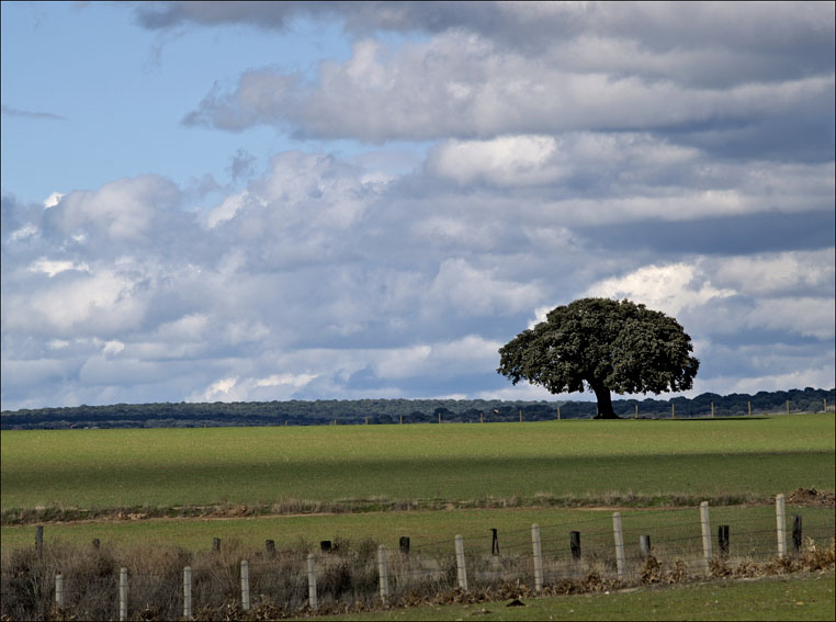Foto de Rodas Viejas (Salamanca), España
