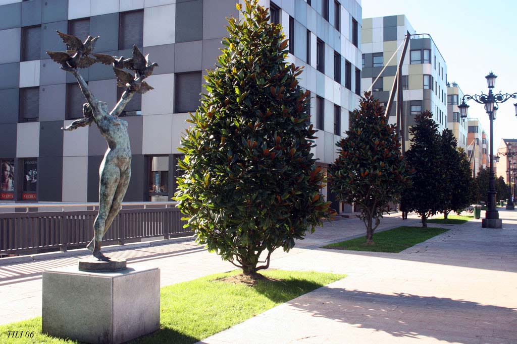 Foto de Oviedo (Asturias), España