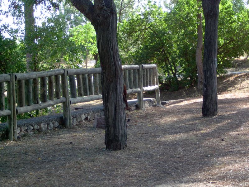 Foto de Llíria (València), España