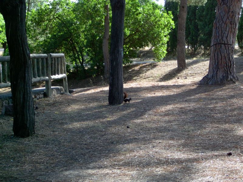 Foto de Llíria (València), España