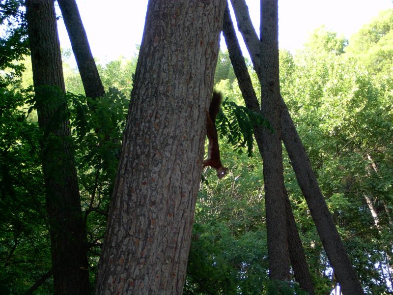 Foto de Llíria (València), España
