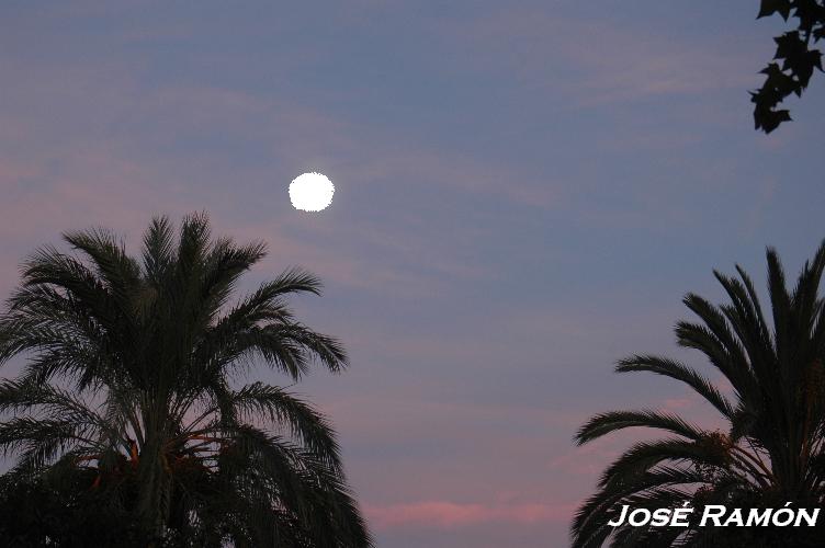 Foto de Jerez  de la Frontera (Cádiz), España