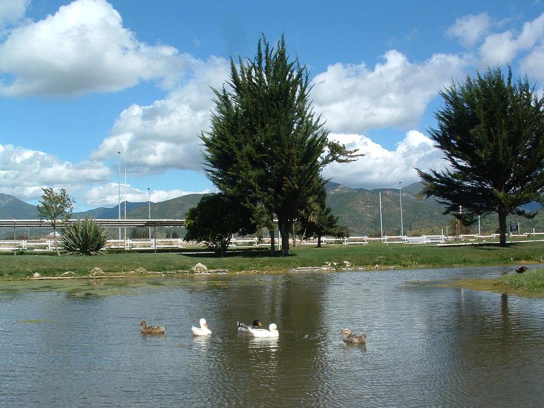 Foto de Casablanca, Chile