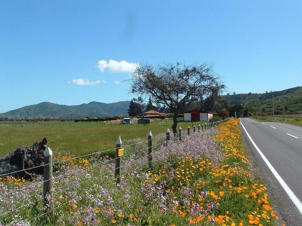 Foto de La Vinilla, Chile