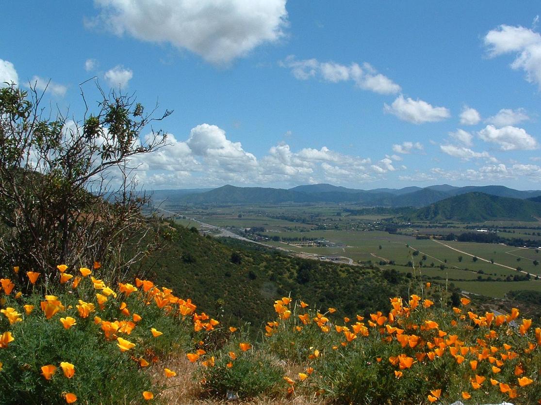 Foto de Casablanca, Chile