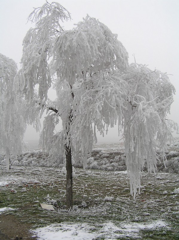 Foto de Bujaraloz (Zaragoza), España