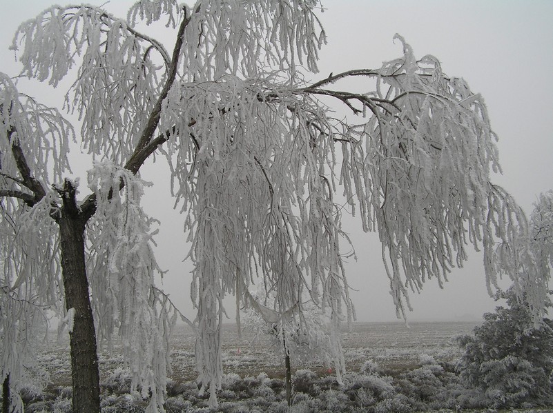 Foto de Bujaraloz (Zaragoza), España