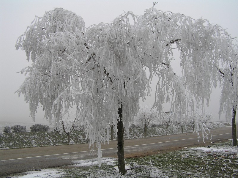 Foto de Bujaraloz (Zaragoza), España