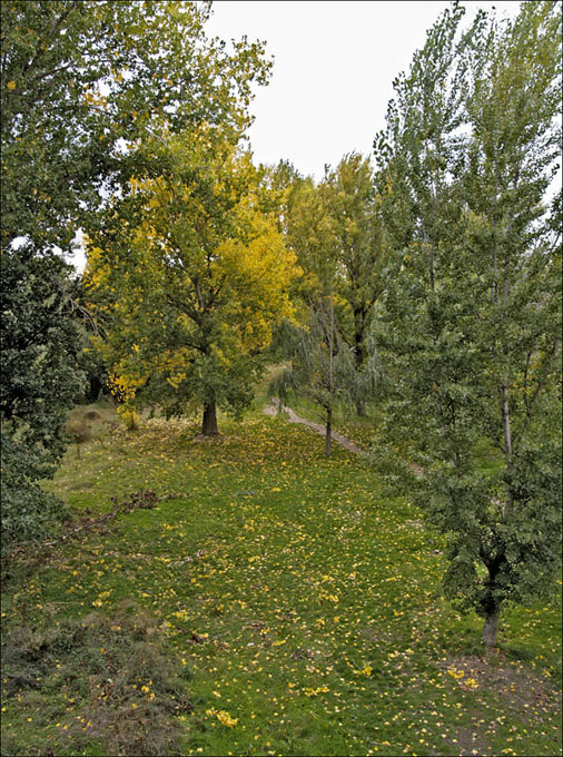 Foto de Salamanca (Castilla y León), España