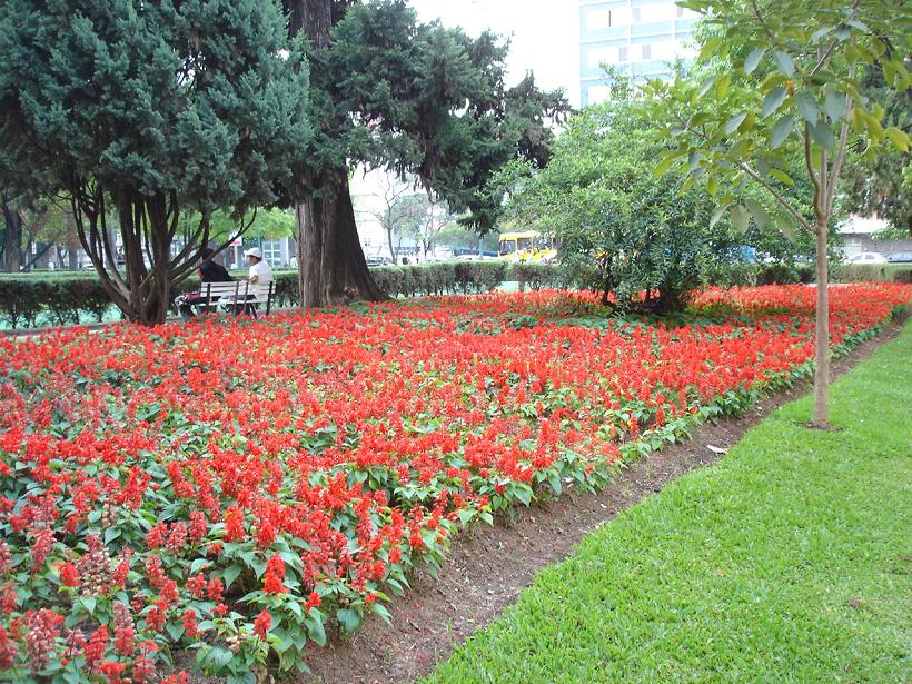 Foto de Belo Horizonte, Brasil