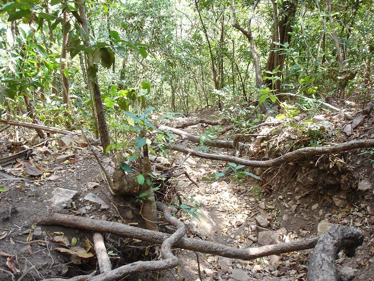 Foto de Formosa (Goiás), Brasil