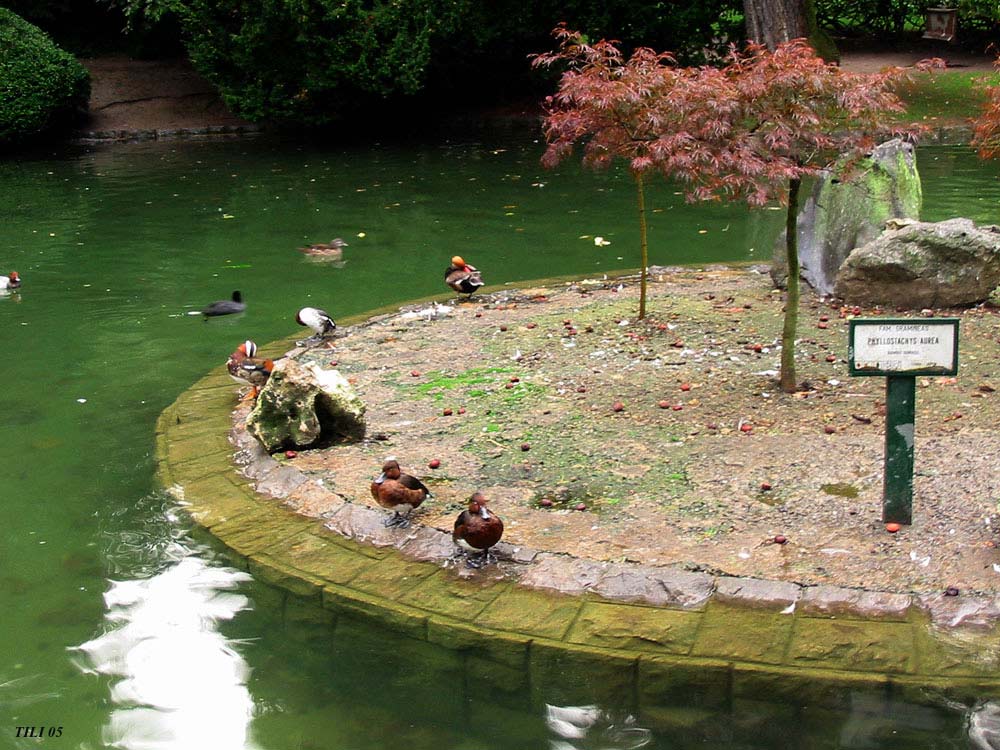 Foto de Oviedo (Asturias), España