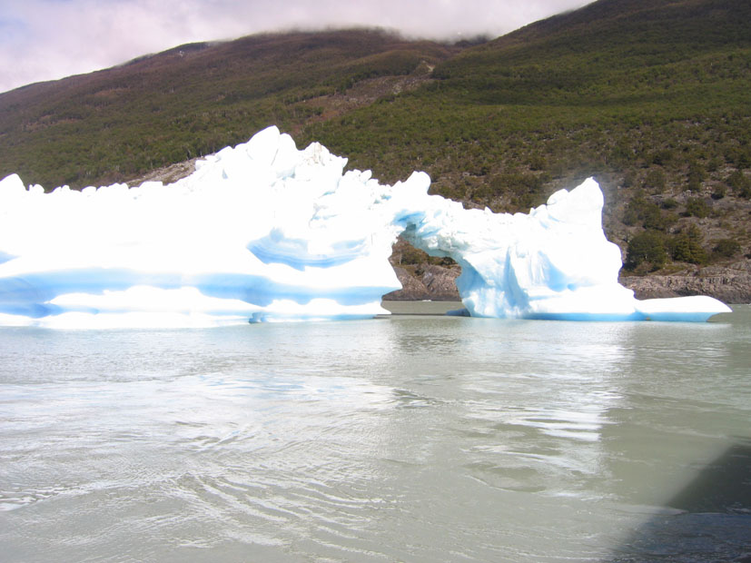 Foto de EL CALAFATE, Argentina
