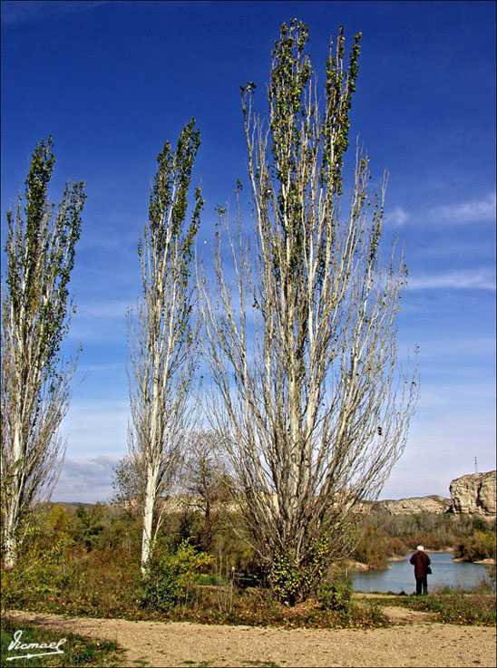 Foto de Zaragoza (Aragón), España