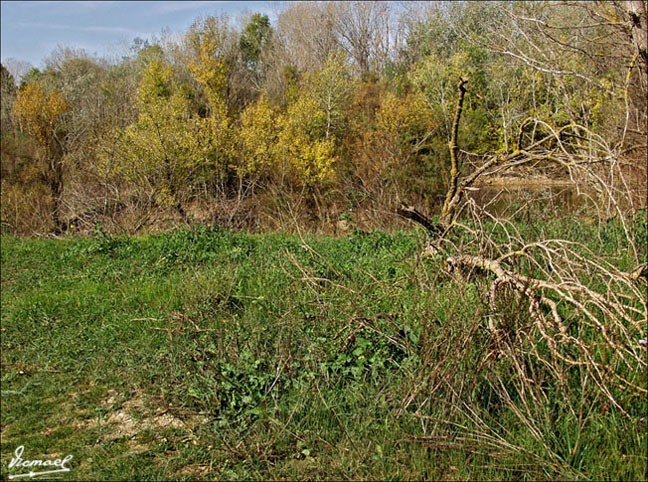 Foto de Zaragoza (Aragón), España
