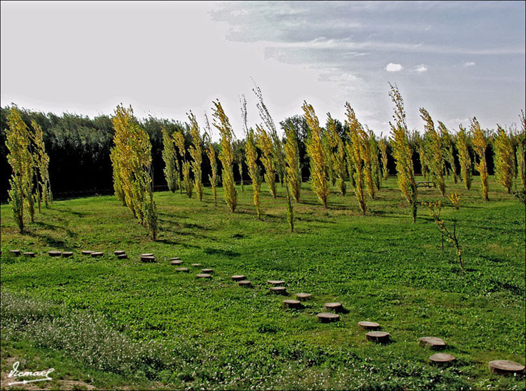 Foto de Zaragoza (Aragón), España