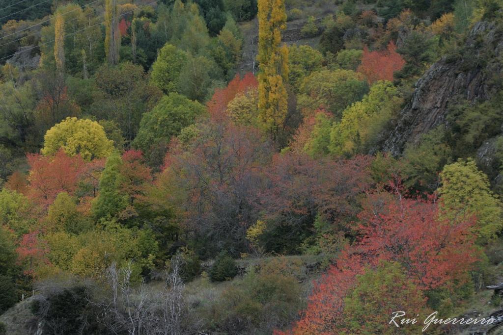 Foto de El Serrat, Andorra