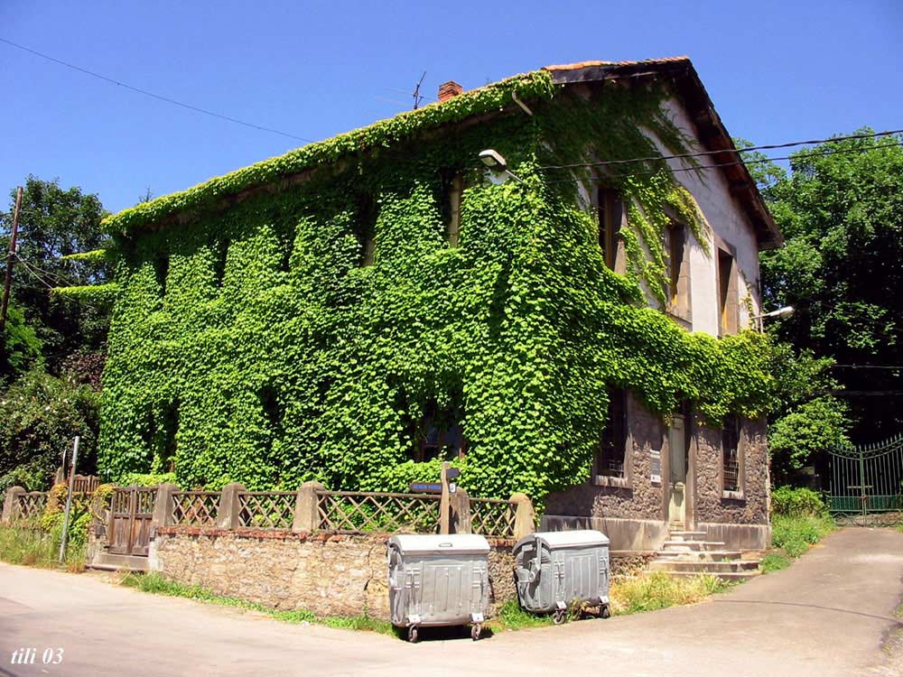 Foto de La Manjoya (Asturias), España