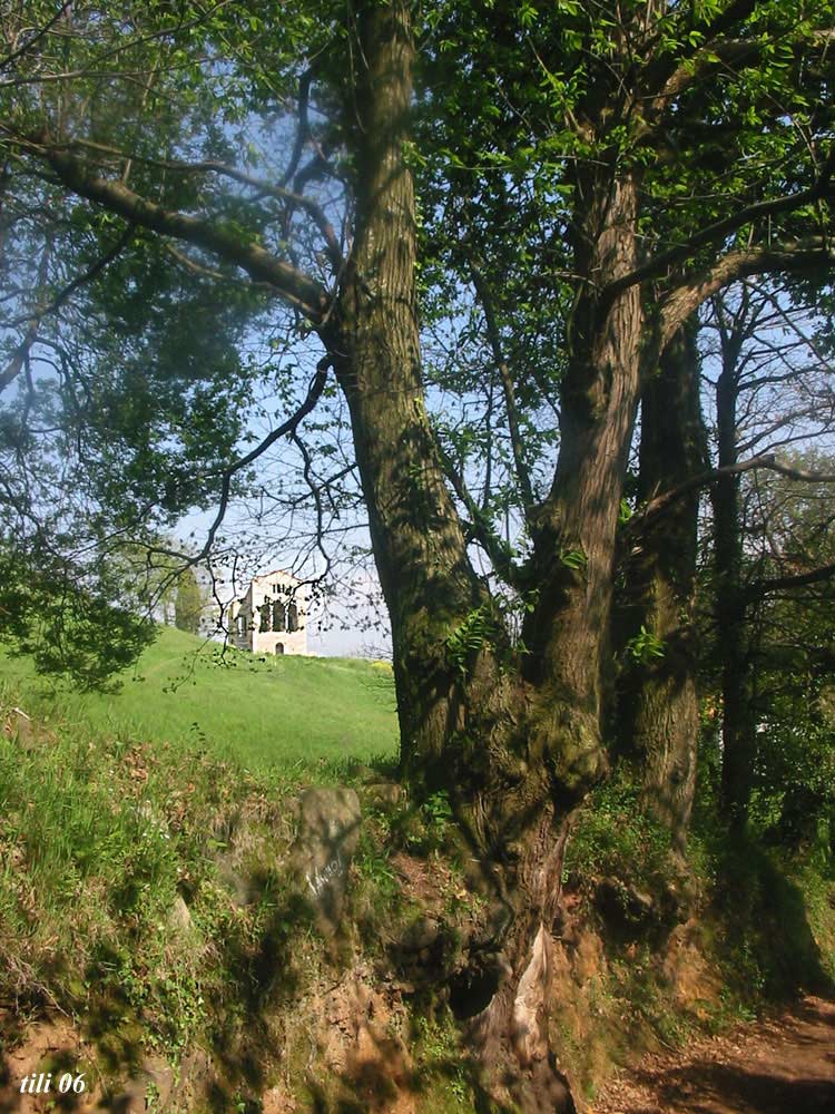 Foto de Oviedo (Asturias), España