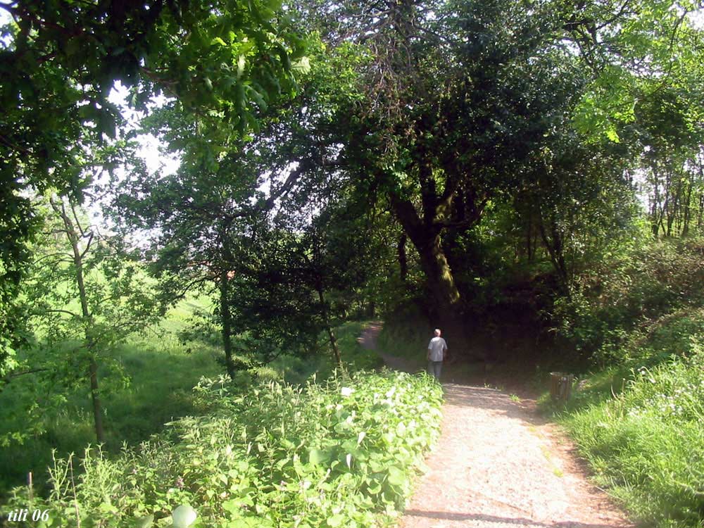 Foto de Oviedo (Asturias), España