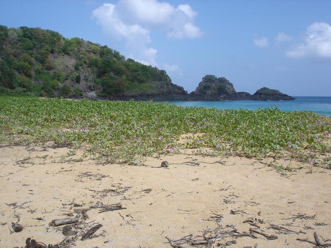 Foto de Fernando de Noronha, Brasil