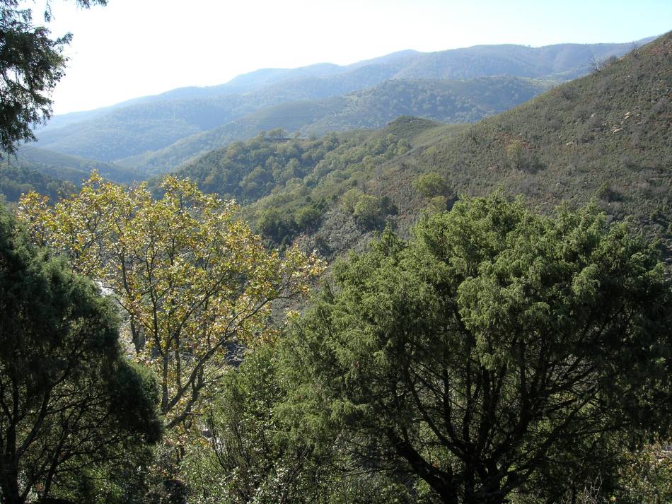 Foto de El Raso, Candeleda (Ávila), España