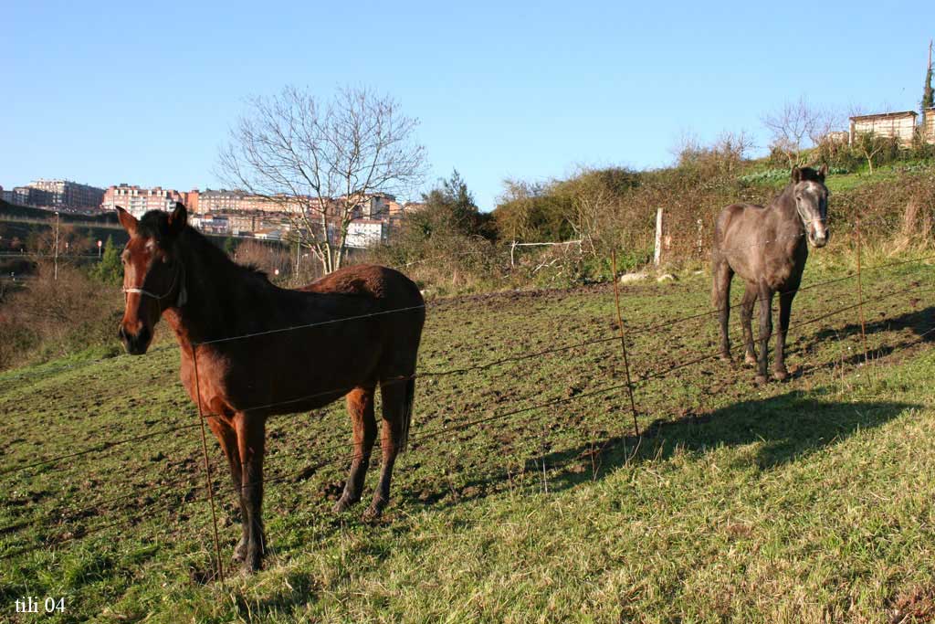 Foto de La Manjoya (Asturias), España
