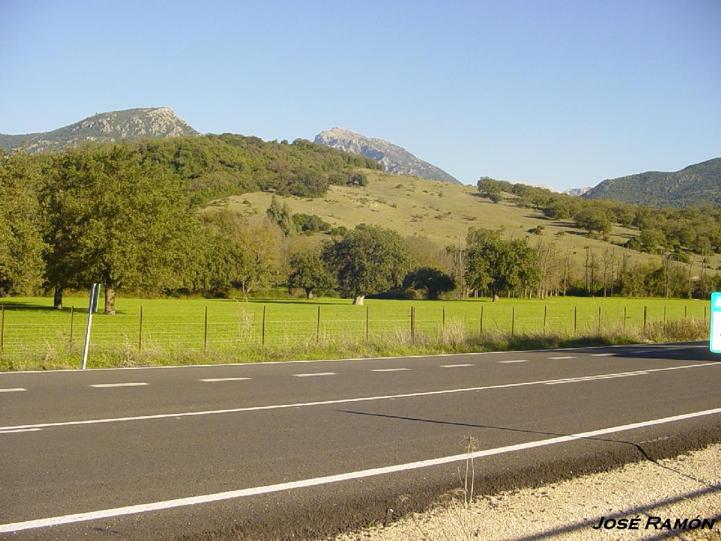 Foto de Prado del Rey (Cádiz), España