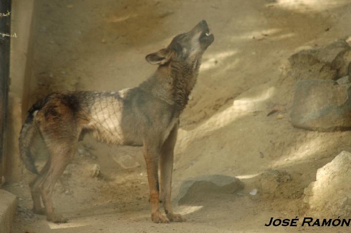 Foto de Jerez  de la Frontera (Cádiz), España