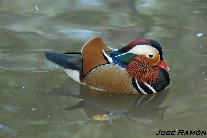 Foto de Jerez  de la Frontera (Cádiz), España