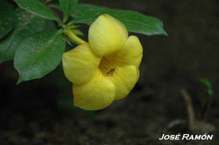 Foto de Zahara de la Sierra (Cádiz), España