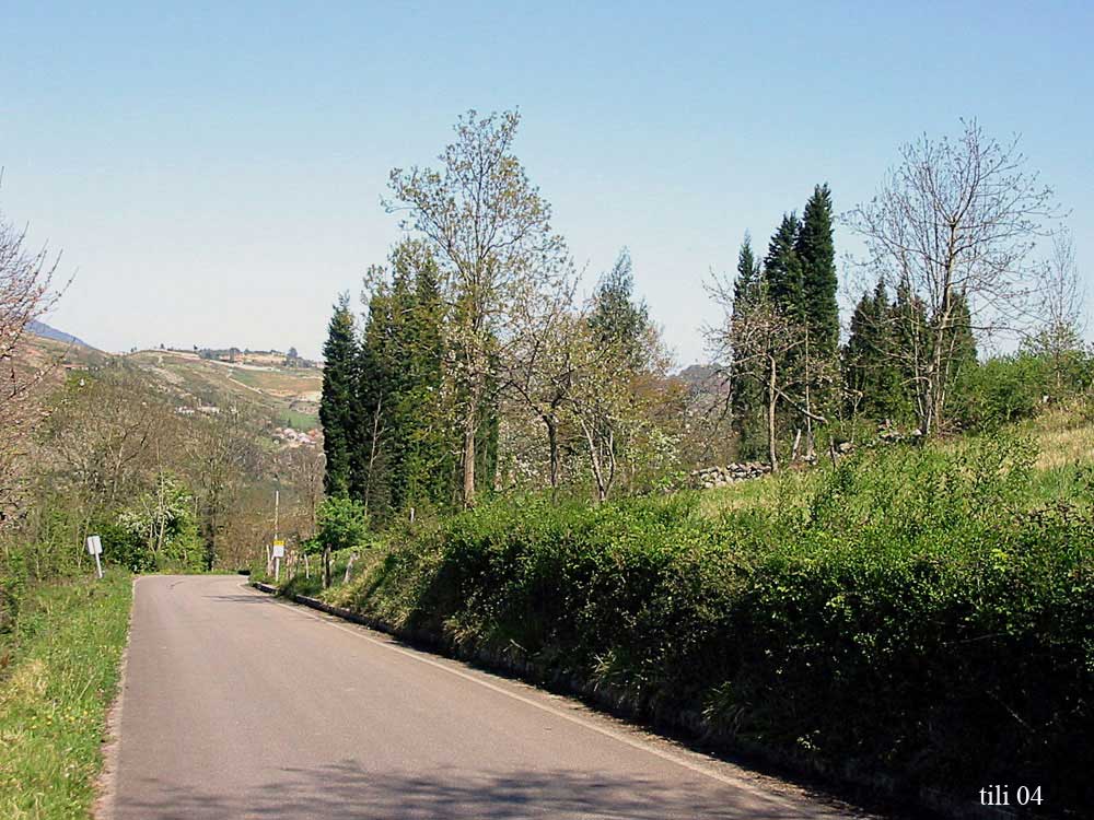 Foto de Figarines (Asturias), España