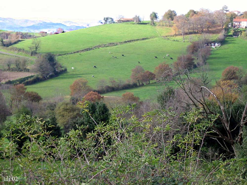 Foto de Oviedo (Asturias), España