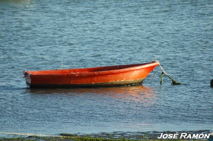Foto de Puerto Real (Cádiz), España