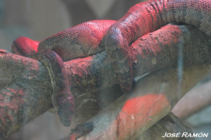 Foto de Jerez  de la Frontera (Cádiz), España