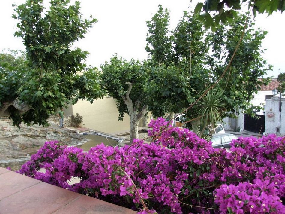 Foto de Palau-Saverdera (Girona), España