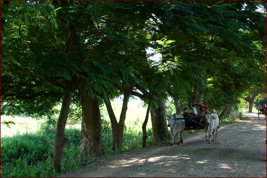 Foto de AVA, Myanmar