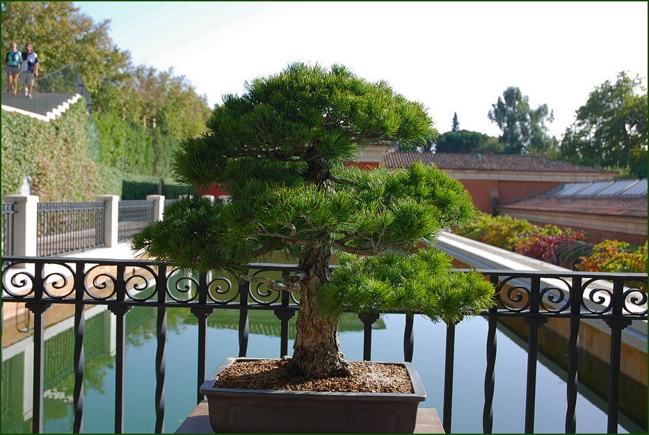 Foto de Madrid (Comunidad de Madrid), España