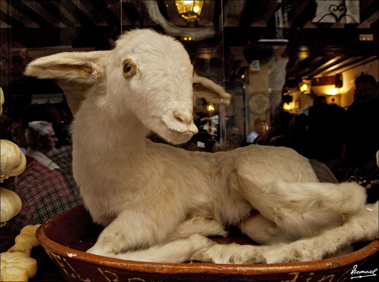 Foto de Segovia (Castilla y León), España