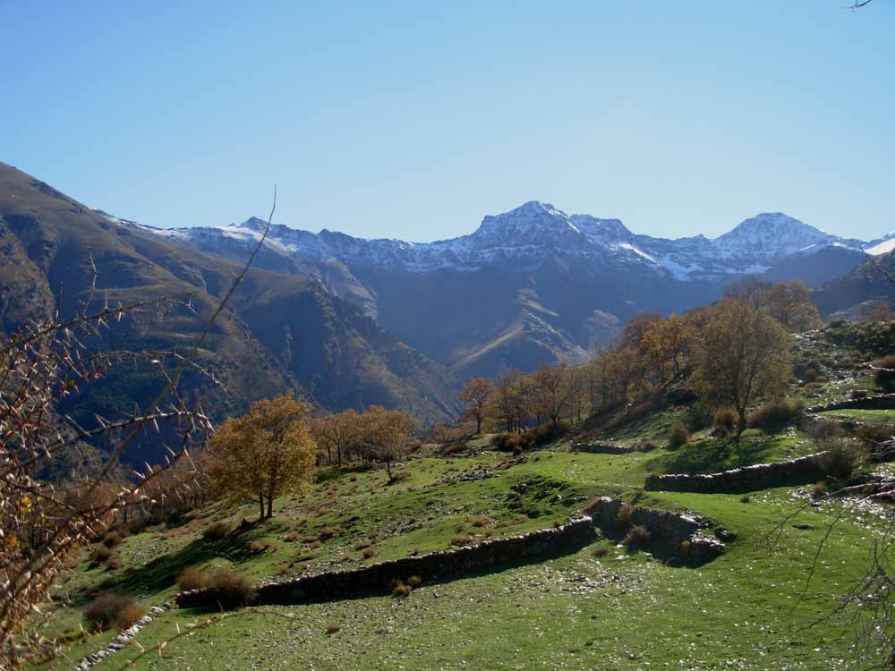 Foto de Granada (Andalucía), España